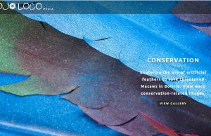 The Business List of Conservation Photo