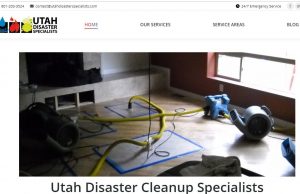 A Business List for Restoration Specialists