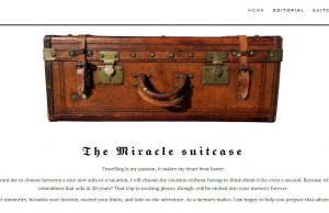 Suitcase Industry Customer List