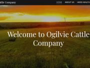 Yellow Pages of Angus cattle