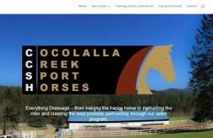 Name List of Dressage Dress