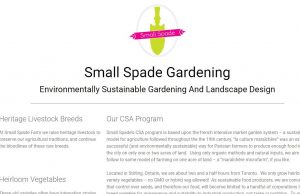A Series Provider of Gardening Landscape