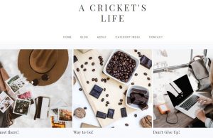 Company Name List of Home Decor