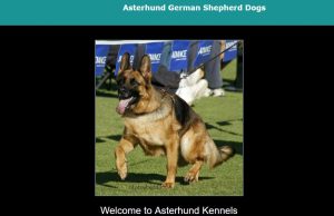 Shepherd Dog Business Free List