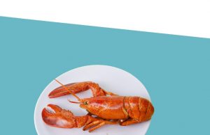 Suppliers Directories of lobster