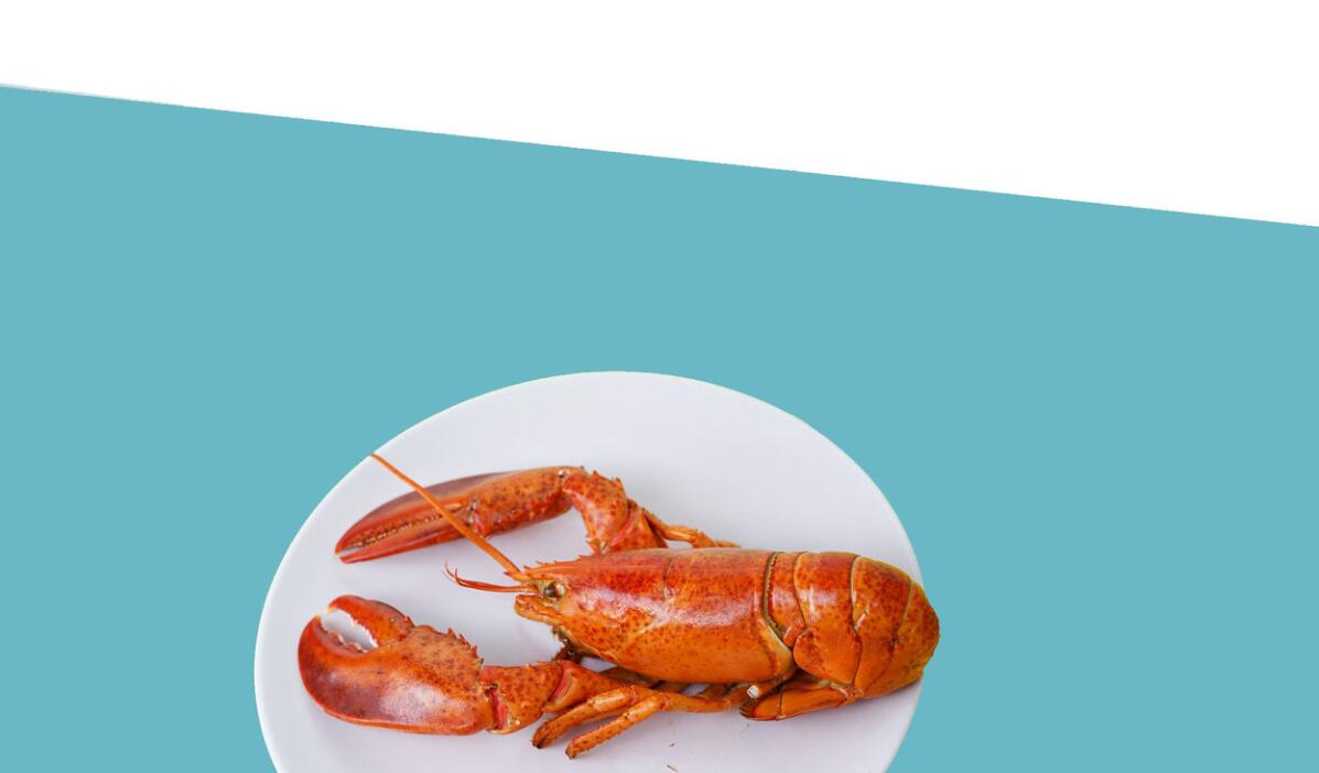 Suppliers Directories of lobster