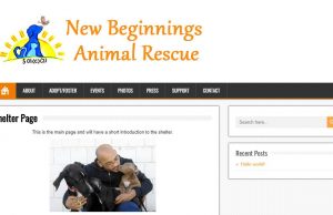 Animal Rescue Organization List