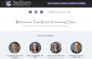 Veterinarian Clinic Studio List