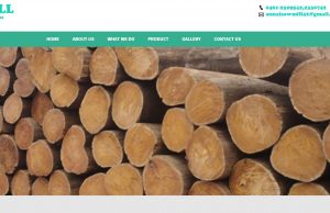 Wooden Crates Trader Together