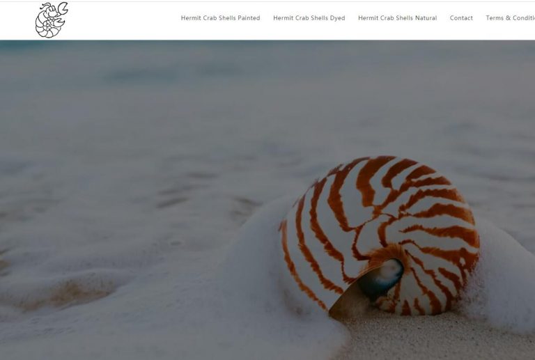 Web Directory of Shells