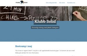 Solid Business Web List