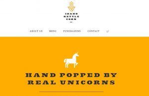 Induction Website of kettle