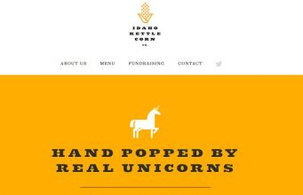 Induction Website of kettle