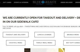 Agave collected Free Share
