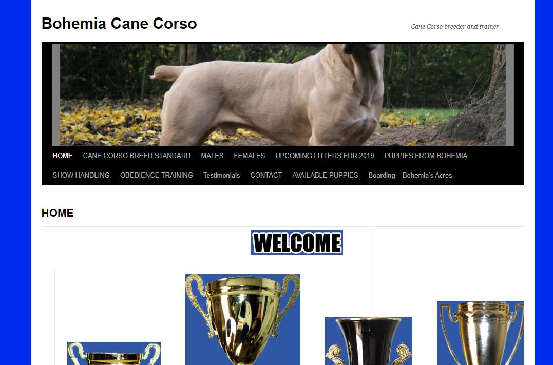 Websites Directory of Cane