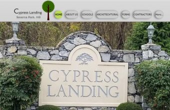 Cypress Websites collect