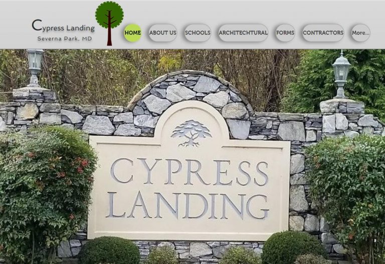 Cypress Websites collect