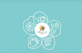 Hibiscus Websites collect