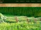 Jute collected Free Share