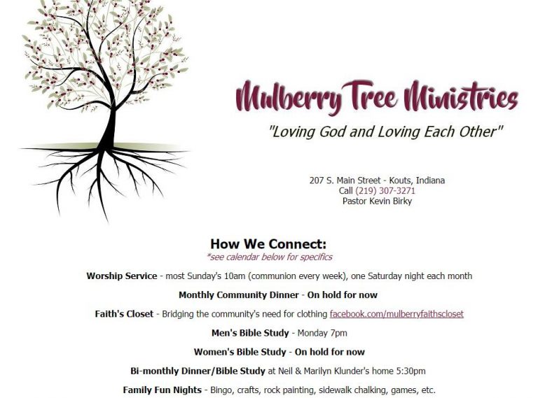 Mulberry Websites collect
