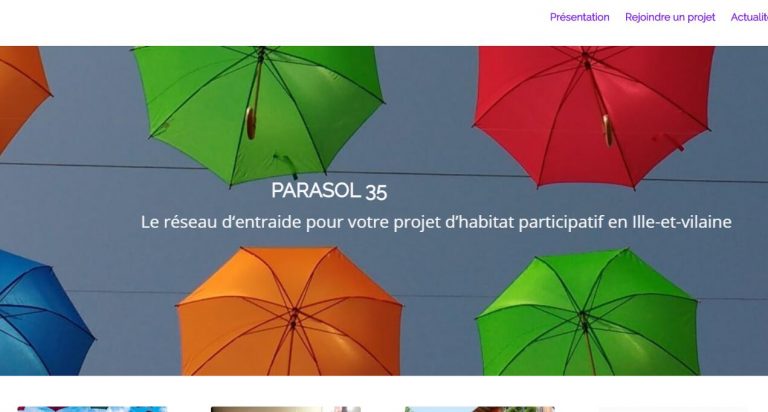 Parasol Websites collect