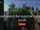 Stripe Free Directory Share