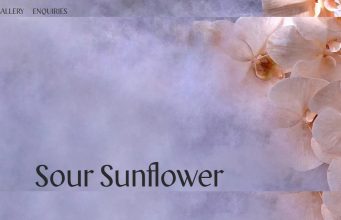 Sunflower Websites collect