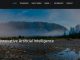 Artificial Website Liaison