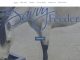 Feeder Websites Directories
