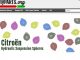 Suspension Websites Directories