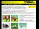 Boron Keywords website random List