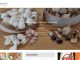 Local lists of Burgenland Australia