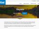 top 100 websites of Guyana