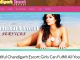 TOP 100 websites of Chandigarh