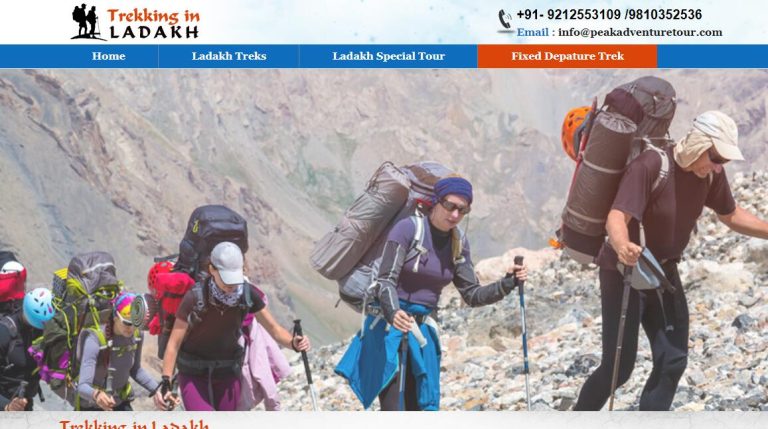 TOP 100 websites of Ladakh