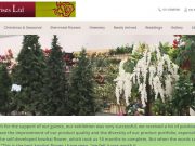 Top Rank Companys of Japan Chiba